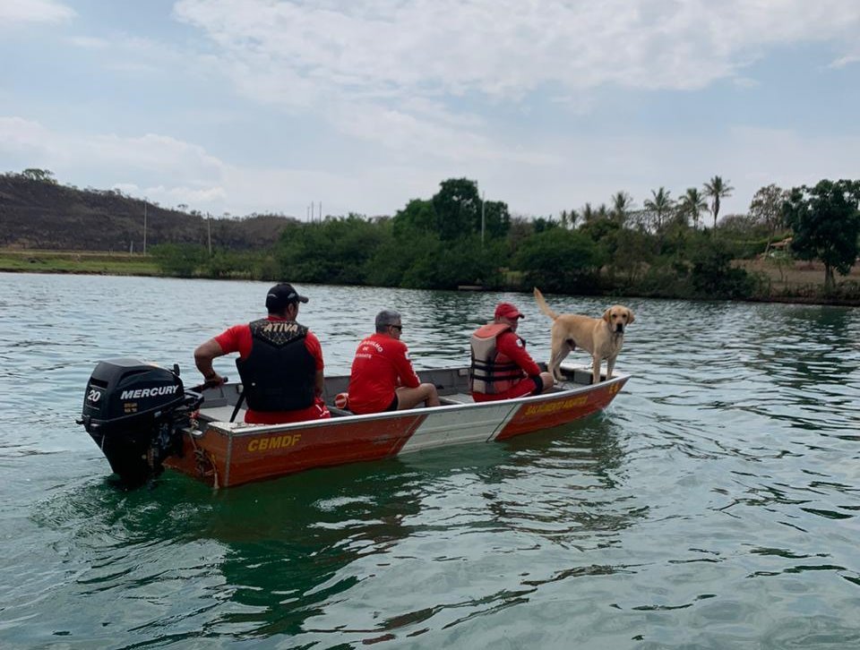 bombeiros em barco com cão farejador