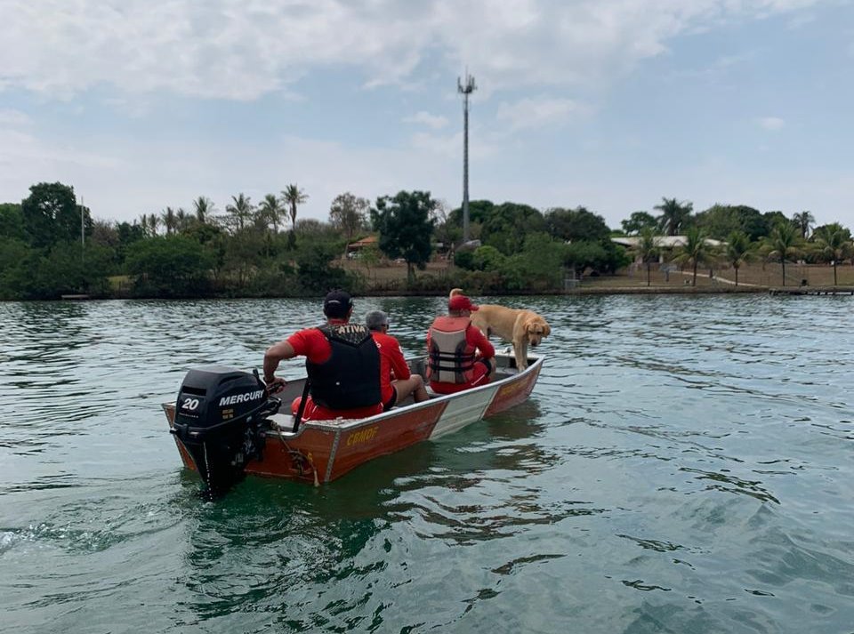 bombeiros em barco com cão farejador