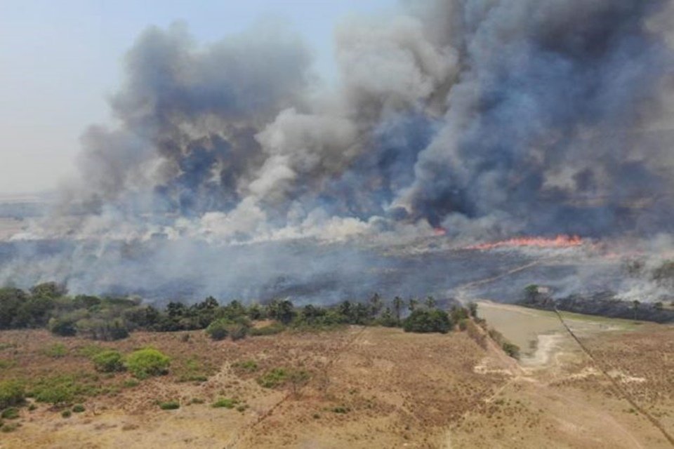 Queimada na Chapada dos Veadeiros