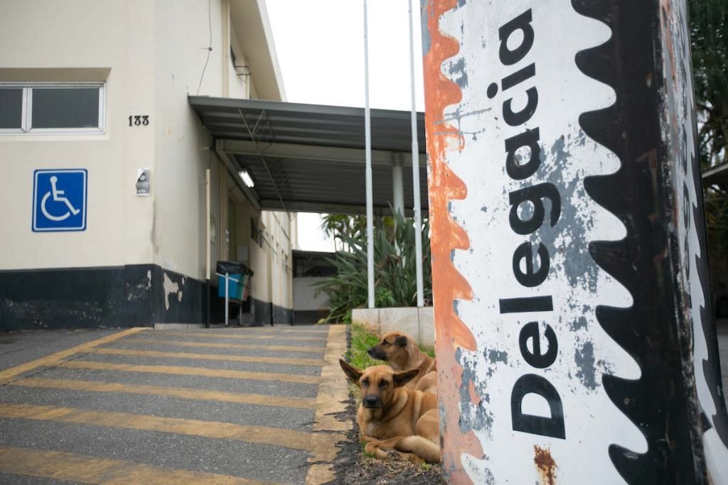 Crianca decapitada em Pindamonhangaba