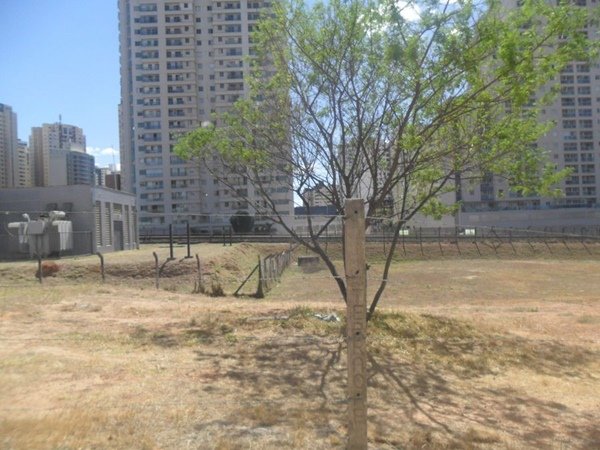 Lote Águas Claras Leilão 12/2020 Terracap