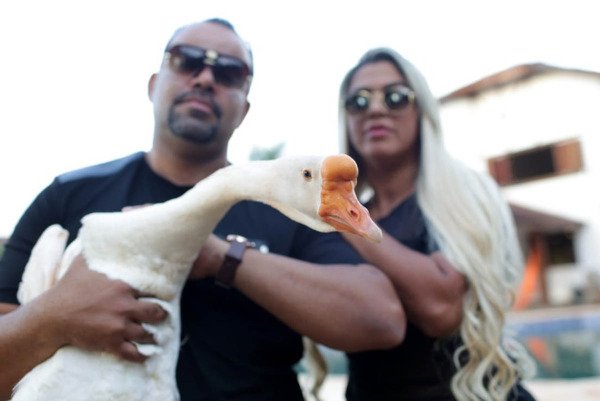 casal em frente a mansão segurando ganso