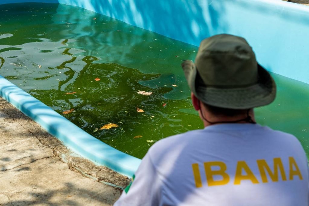 Funcionários e dirigentes sindicais ligados ao Ibama reclamam da falta de pessoal
