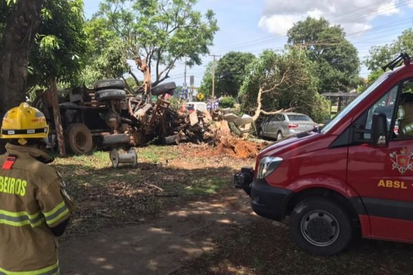 Motorista Perde O Controle De Caminho E Bate Em Rvore No DF