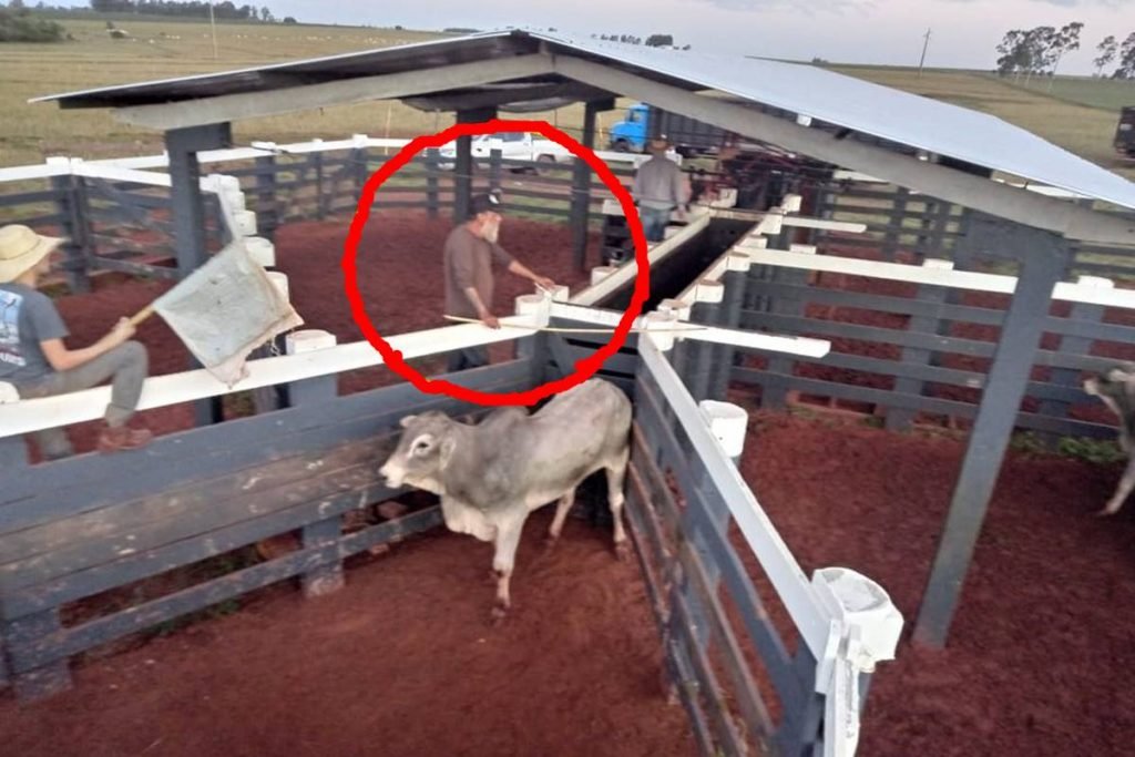Paulo Cupertino em sítio no Mato Grosso do Sul