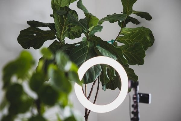 Ring light