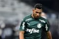 Rony Palmeiras