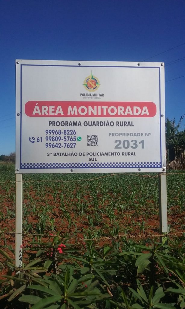 roubo mandioca