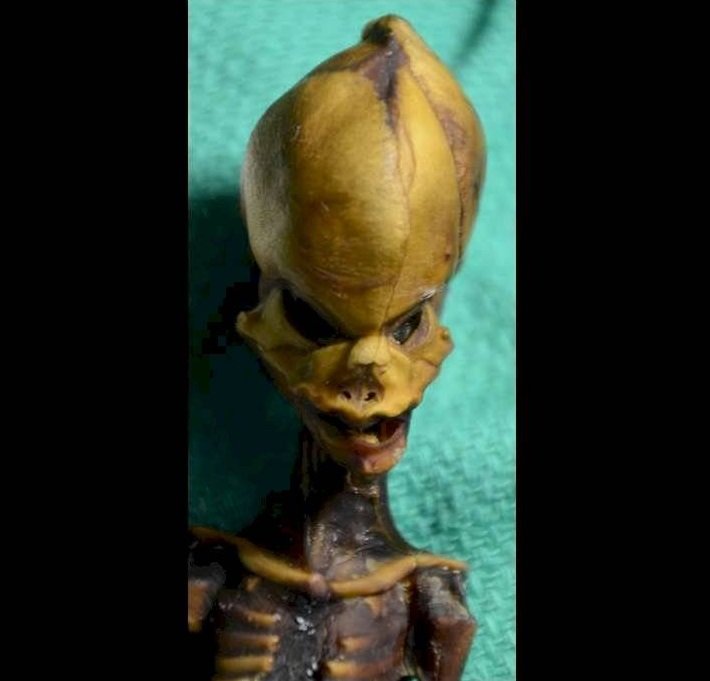 Alien de Atacama