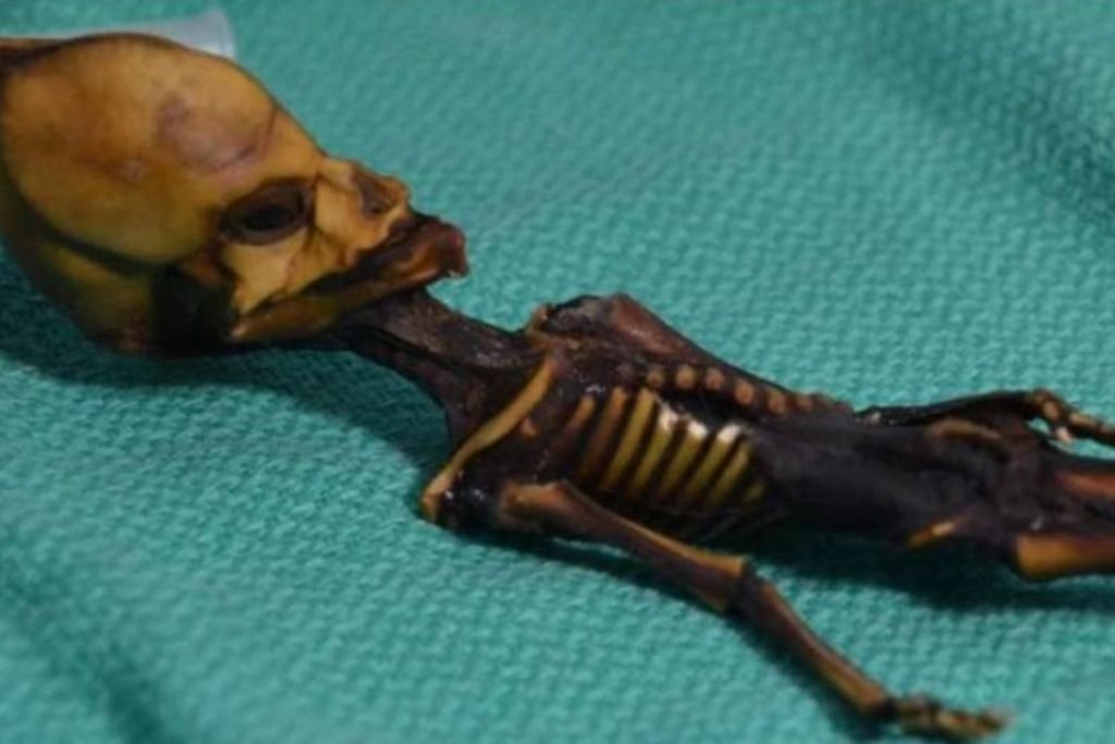 Alien de Atacama