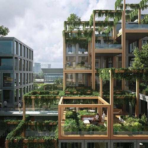 complexo arquitetônico em módulos de madeira e plantas