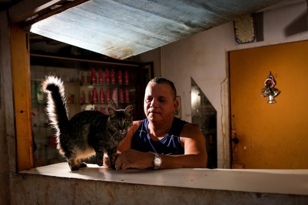 Homem na janela com gato