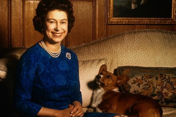 Rainha Elizabeth Esta De Luto Morre Vulcan Caozinho Da Monarca