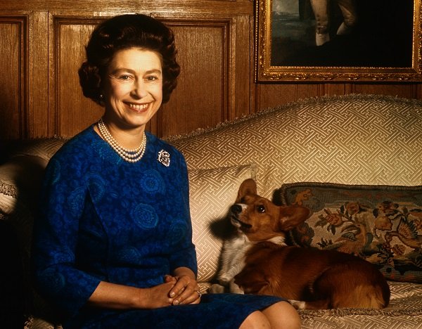 rainha sentada em uma cadeira com cão