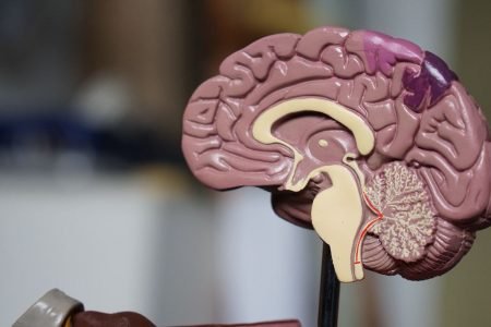 memória cérebro perda de memória