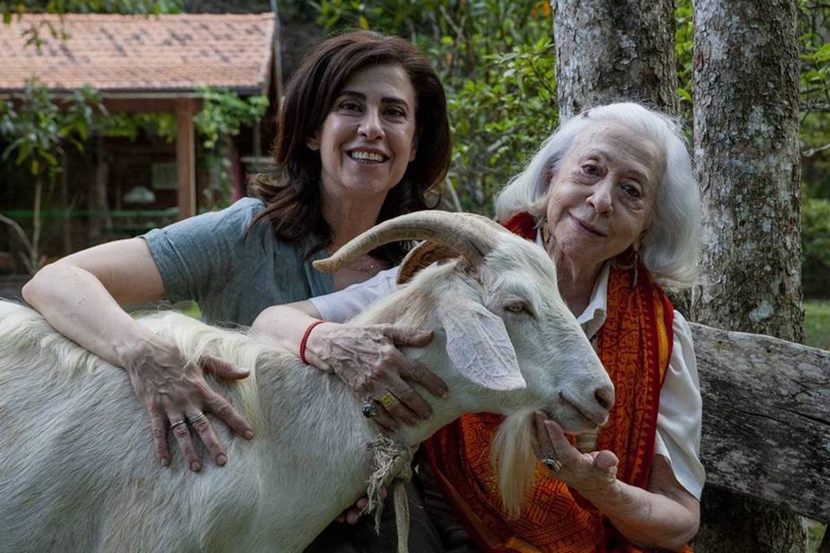 Gilda, Lúcia e o Bode: Globo exibe especial com Fernanda Montenegro ...