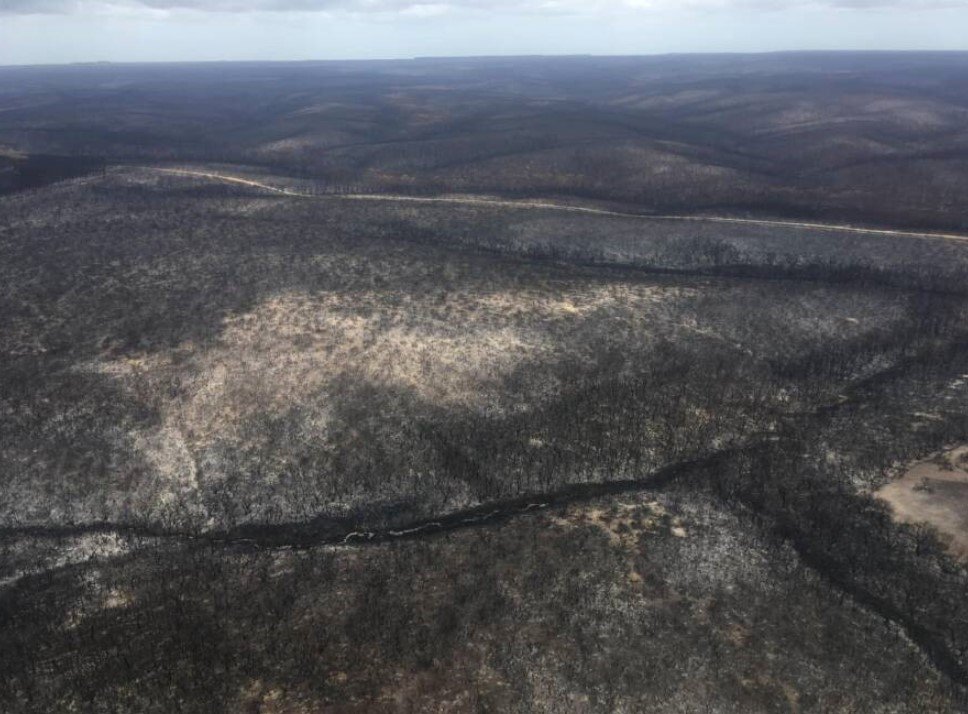 Queimada na Austrália