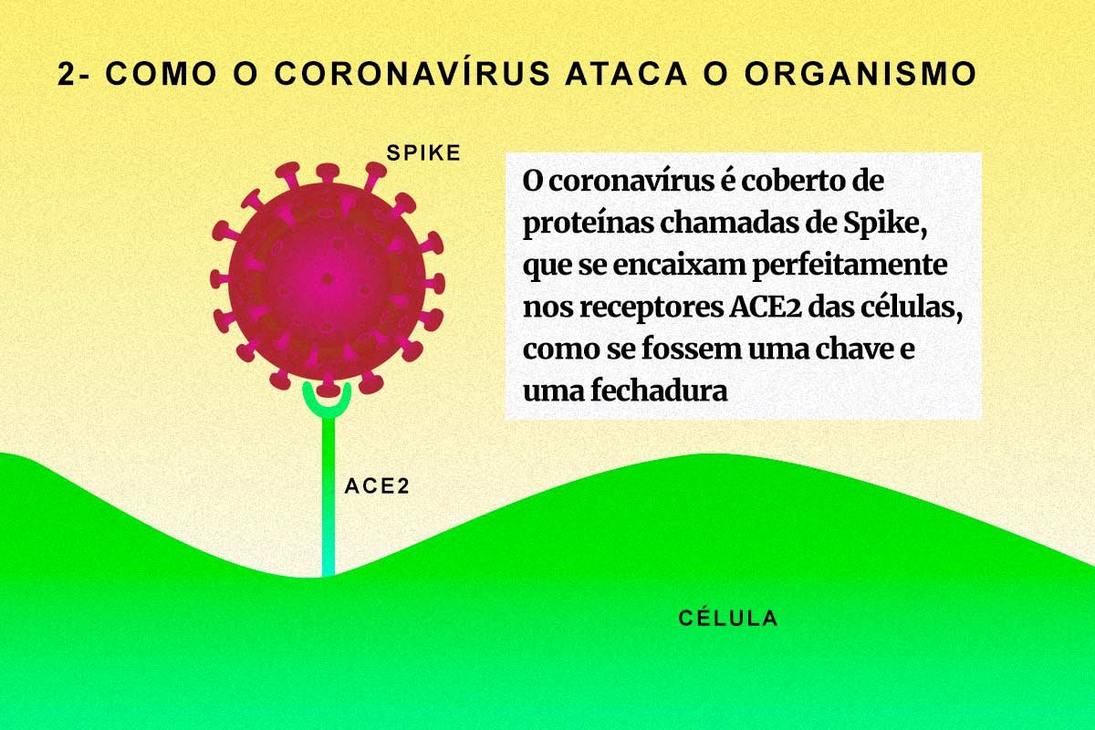 Arte / Tecnologia de vacinas