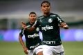 Palmeiras