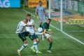 Palmeiras empata com o América-MG
