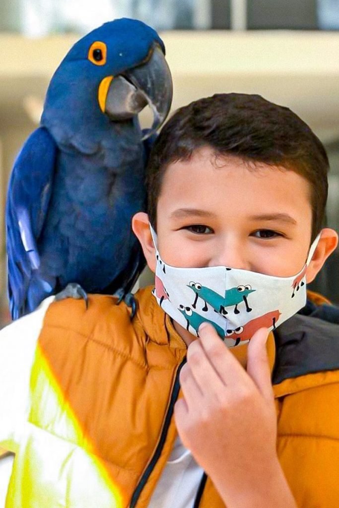 Blue e criança no ZooFoz