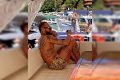 Neymar no litoral de Santa Catarina