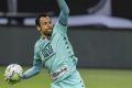 Diego Cavalieri