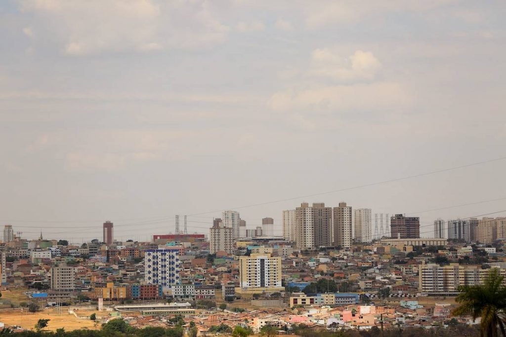 Samambaia