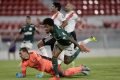 Luiz Adriano Palmeiras