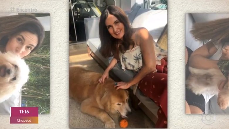 Fatima apareceu ao lado dos seus doguinhos