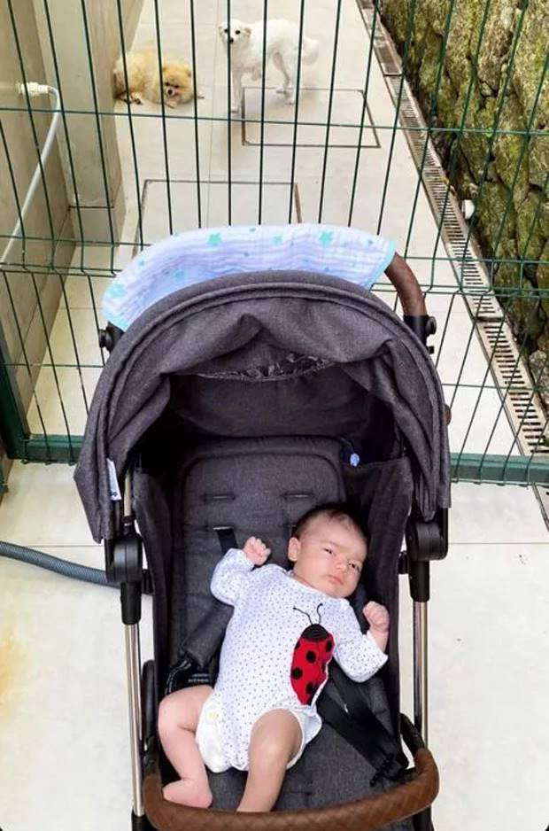 Filha de Marcelo Adnet