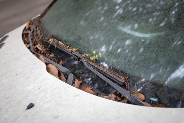 carro abandonado