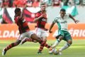 Flamengo x Palmeiras