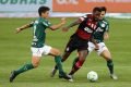 Flamengo x Palmeiras