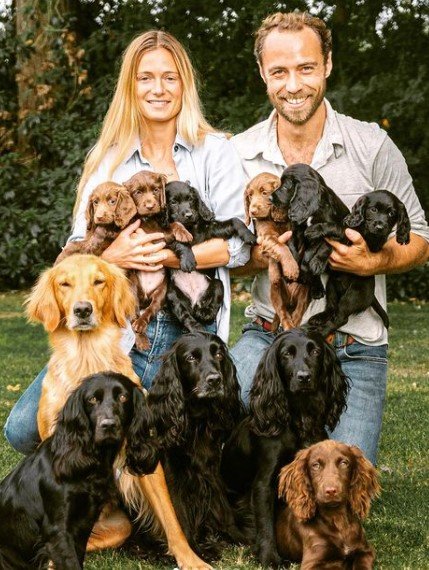 Cachorrinhos