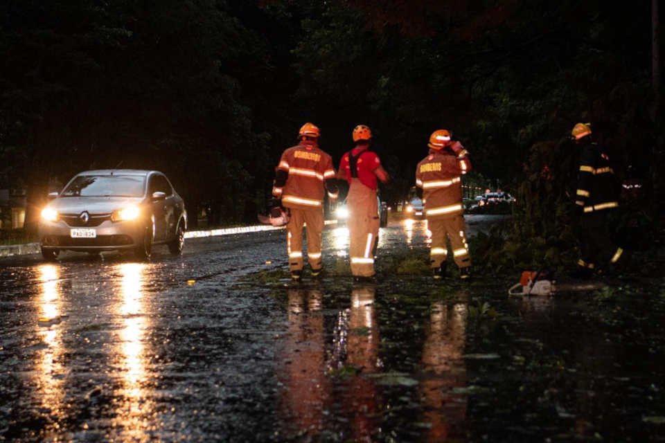 bombeiros e árcore caída