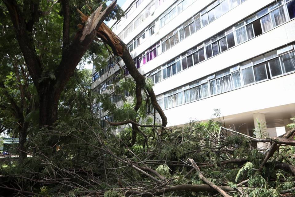 Estragos causados pela chuva na 306 Norte