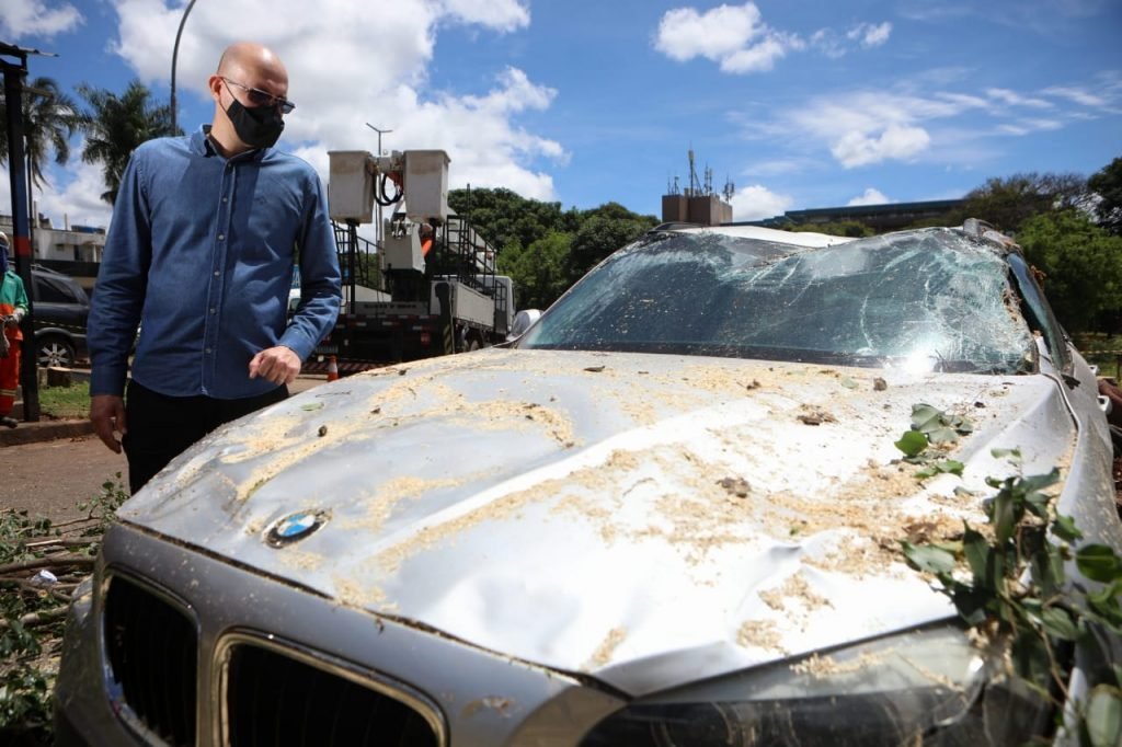 BMW destruída por árvore que caiu durante chuva