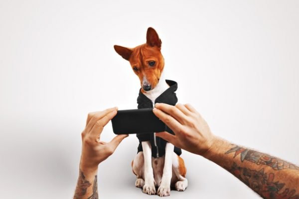 cachorro tirando foto