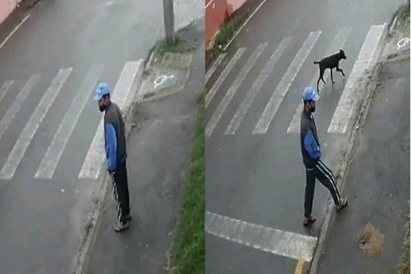 Homem é flagrado praticando zoofilia contra cachorro em Curitiba