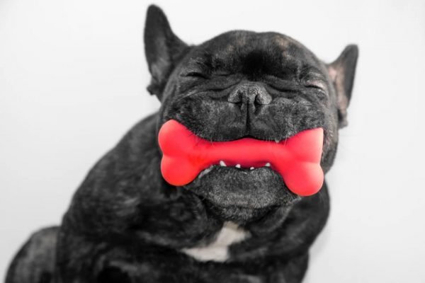 Brinquedo limpa dente de cachorro
