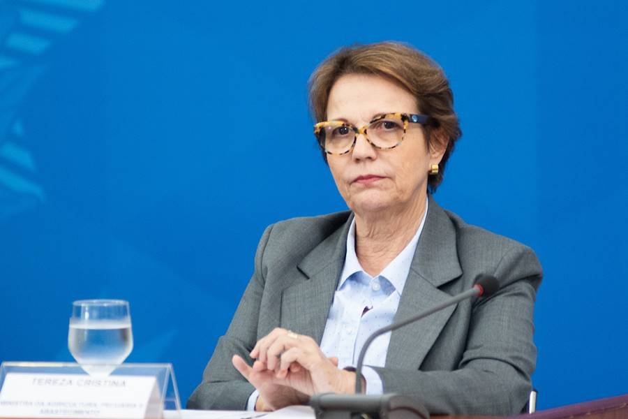 A ministra da Agricultura, Tereza Cristina
