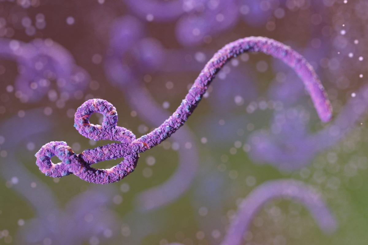 ilustração do vírus Ebola