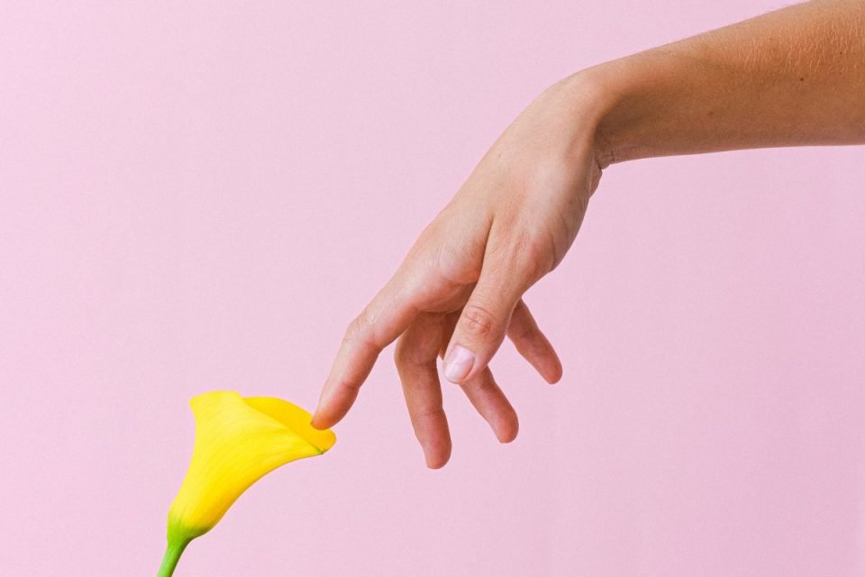 mão tocando flor