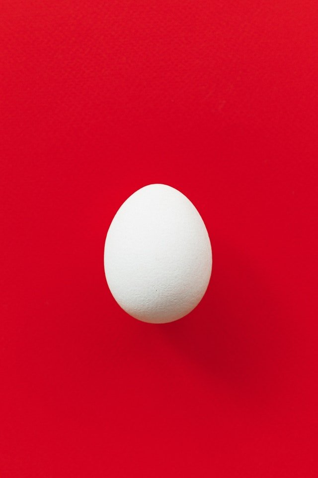 ovo em fundo vermelho