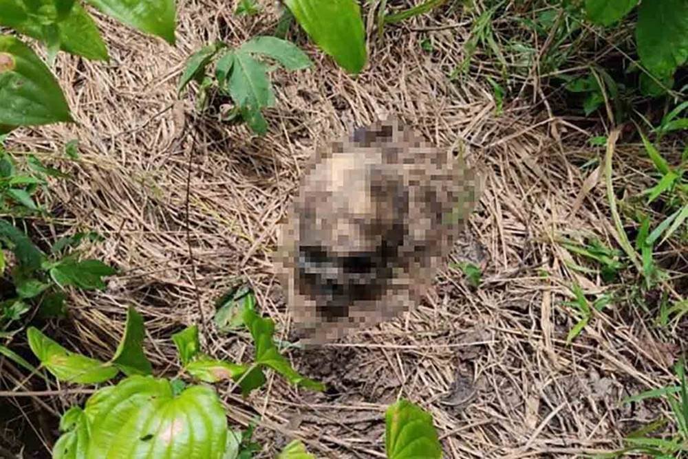 Crânio de idoso assassinado em Flores de Goiás
