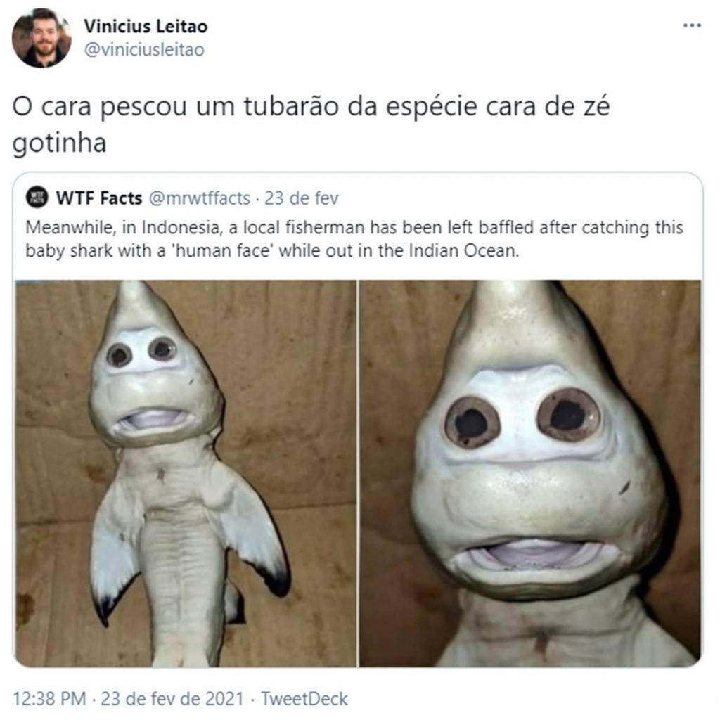 Tuíte com a frase