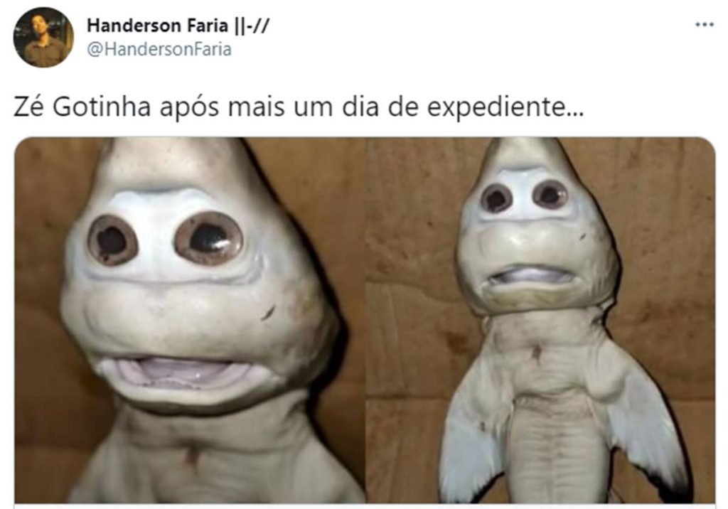 Tuíte com a frase