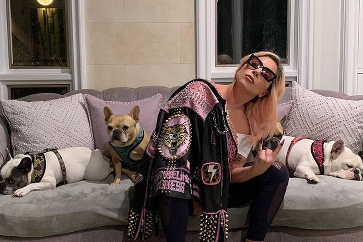 Lady Gaga e seus cachorros