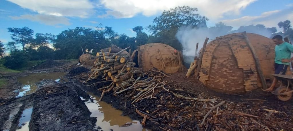 Carvoaria ilegal em Goiás